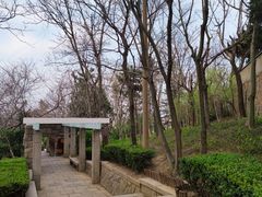 -观象山公园