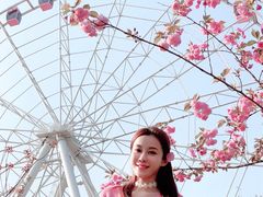 -自然谷恐龙园