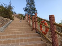 -广东惠东海龟国家级自然保护区