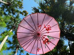 -中国科学院西双版纳热带植物园