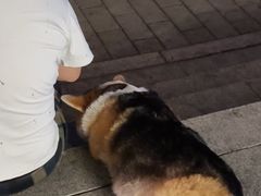 -维園(小梅大街店)