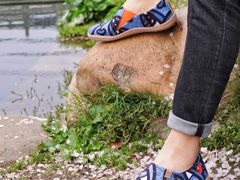 -合肥滨湖国家森林公园