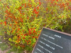 -元大都城垣遗址公园