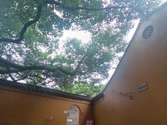 -西园戒幢律寺
