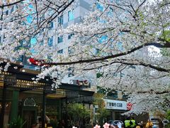 -玛格萝妮比萨屋(四平店)