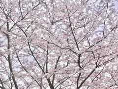 -长田漾湿地公园