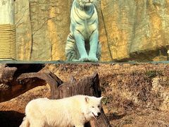 -杭州野生动物世界