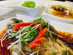 小龙趸-宝燕海货工场(长江国际店)