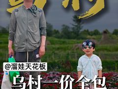 -乌村