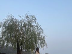 -宁波柏悦酒店·钱湖渔港
