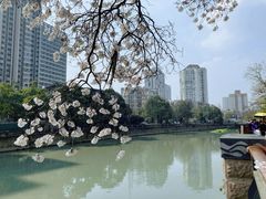 -红星桥(地铁站)