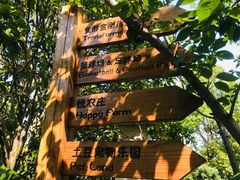 -上海崇明金茂凯悦酒店