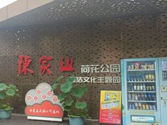 -陈家山荷花公园