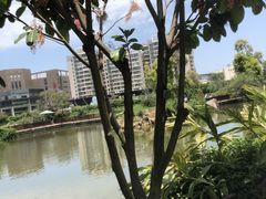 -厦门悦华酒店