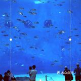 日照旅游攻略[加油]日照虽小吃喝玩乐俱全[糖果]旅游攻略