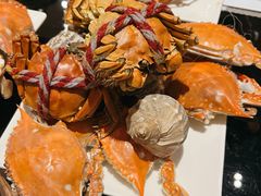 -富力希尔顿酒店·地阔自助餐厅