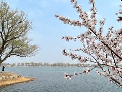 -颐和园
