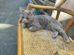 -猫岛主趣味餐厅(鼓浪屿店)