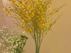 -双季花艺园艺市场(浦东店)