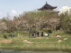 -堤角公园