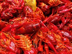 -太湖饭店玉兰厅(自助餐厅)