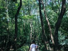 -溪口-滕头旅游景区