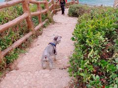-鹿嘴山庄