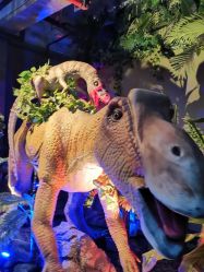 -恐龙探索乐园(磁器口店)