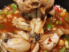 -味之绝美蛙鱼头火锅(高新店)