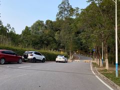 -火炉山森林公园