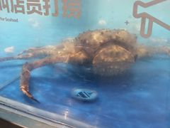 -盒马鲜生(财富中心店)