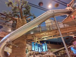 -卡通尼·Safari非洲探索乐园·生日会(金桥国际商业广场店)