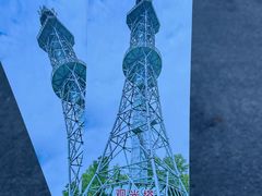 -汤旺河林海奇石景区