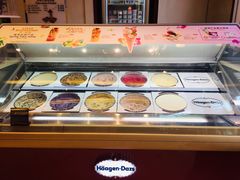 -哈根达斯(西安北郊店)