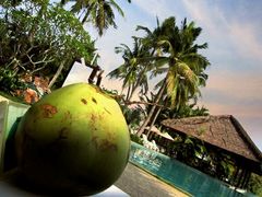 -三亚珠江南田温泉度假区