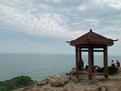-广东惠东海龟国家级自然保护区