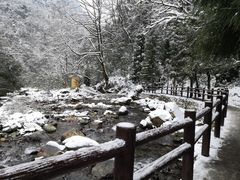 -西岭雪山大飞水景区