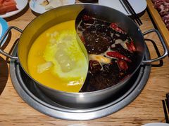 青瓷麻辣锅-青瓷火锅料理(西单大悦城店)