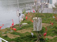 -皇家御河游(紫御湾码头)
