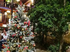 -Lam Vien Restaurant