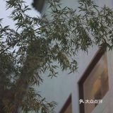 花间沽酒  好名更好食