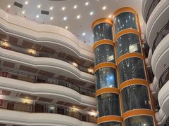 -五谷芳乳鸽王(海景店)