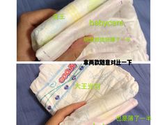 -荷花亲子(尖沙咀店)