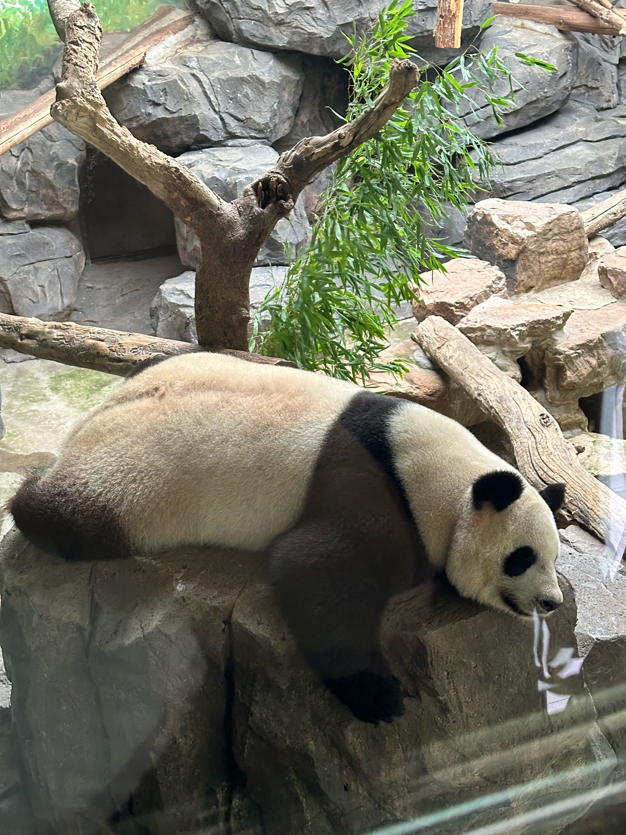 红山动物园一日游