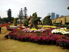 -五通灯塔公园