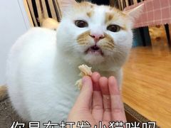 -赛百味(仙林金鹰店)