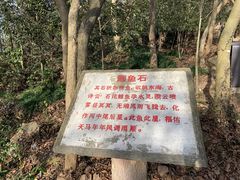 -上海佘山国家森林公园天马山园