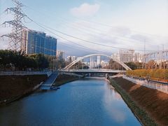 -福田红树林生态公园