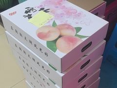 -老袁家蜜桃农场·阳山水蜜桃