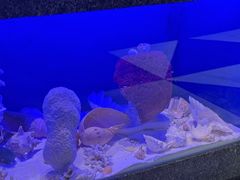 -新海渔港·胶东海鲜家常菜·家宴(奥体中心店)